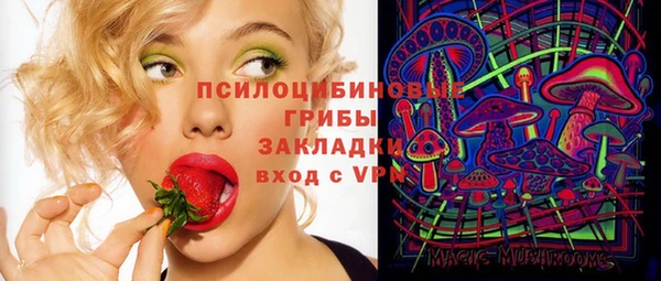 крисы Горно-Алтайск