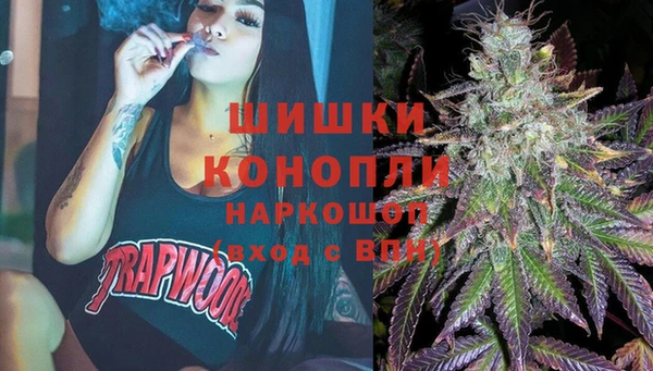 крисы Горно-Алтайск